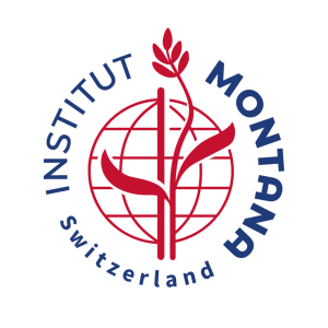 Institut Montana Logo Design