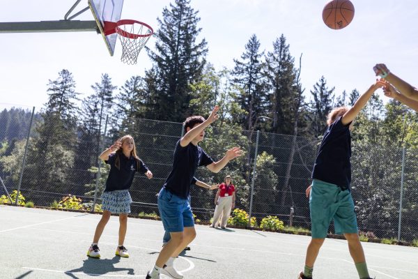 Summer Camp Basketball