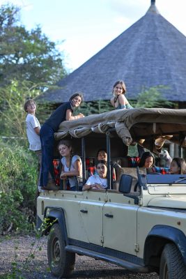 safari